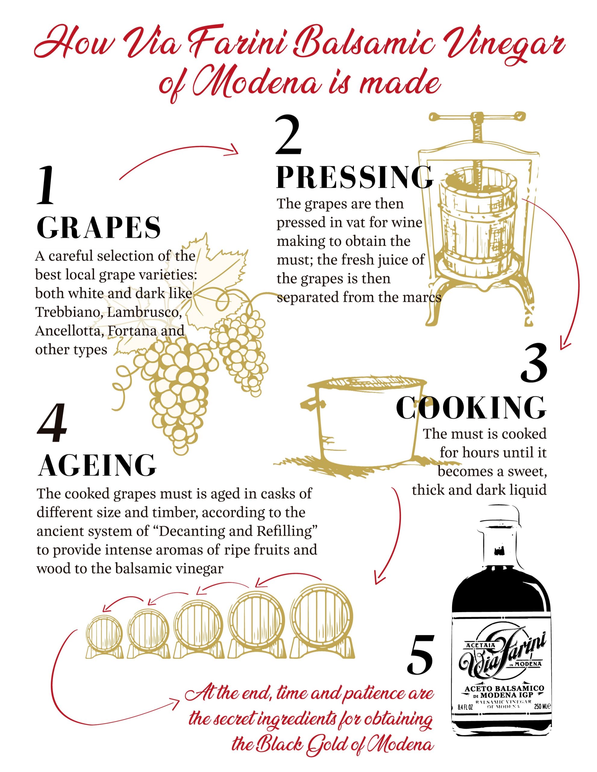 Via Farini Balsamic Vinegar of Modena - Red Label - Image 6